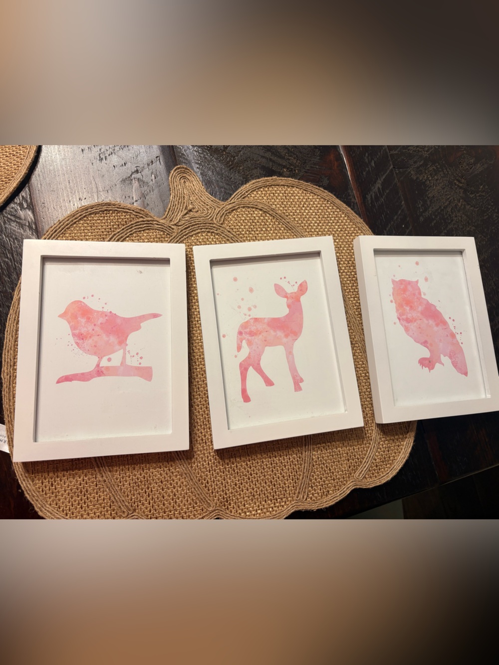 Set of 3 Pink Animal Watercolor Prints in White Frames - Home Art 5x7
